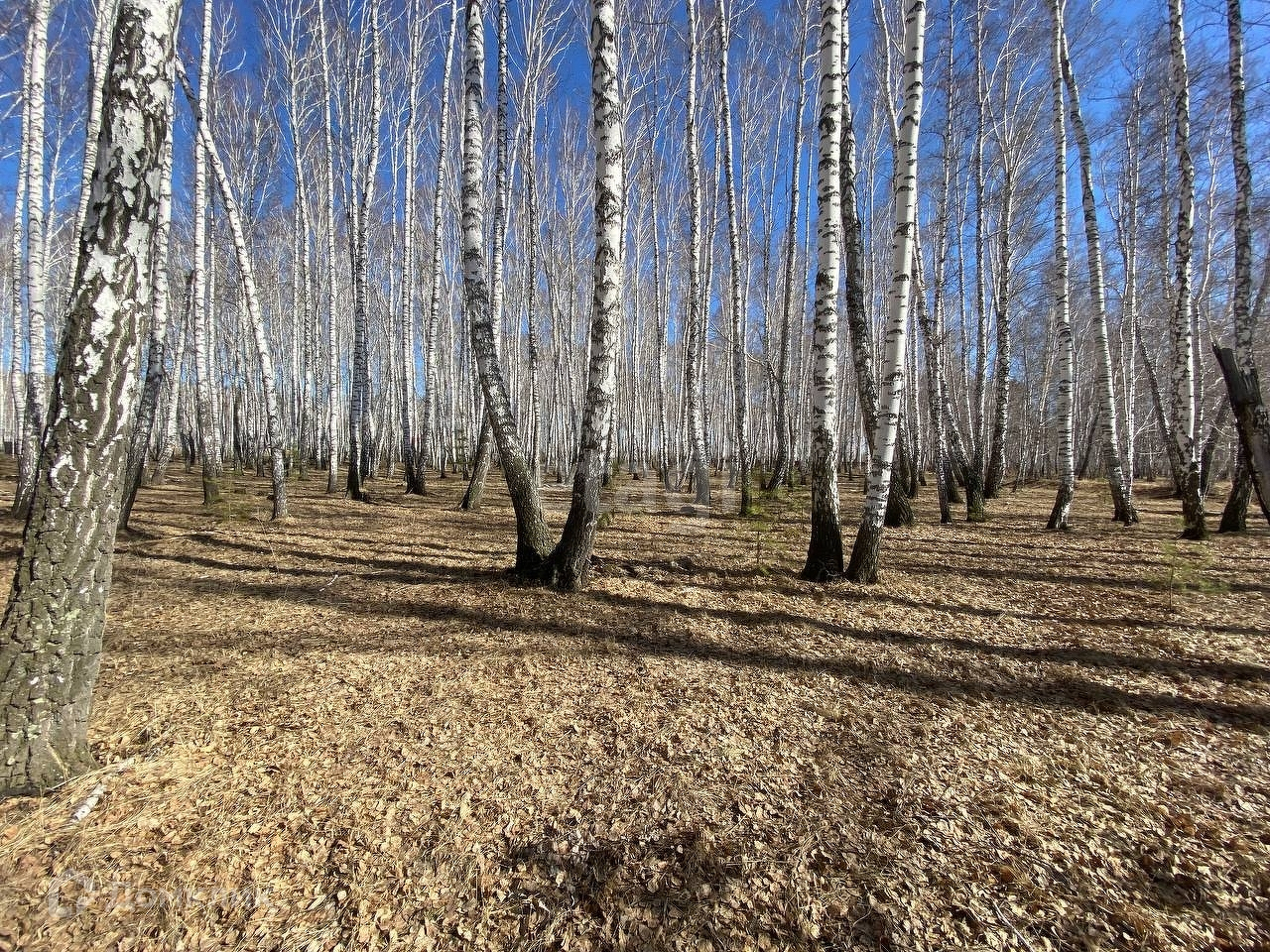 Купить участок, 15 сот. по адресу Курганская область, Кетовский  муниципальный округ, деревня Лукино за 400 000 руб. в Домклик — поиск,  проверка, безопасная сделка с жильем в офисе Сбербанка.