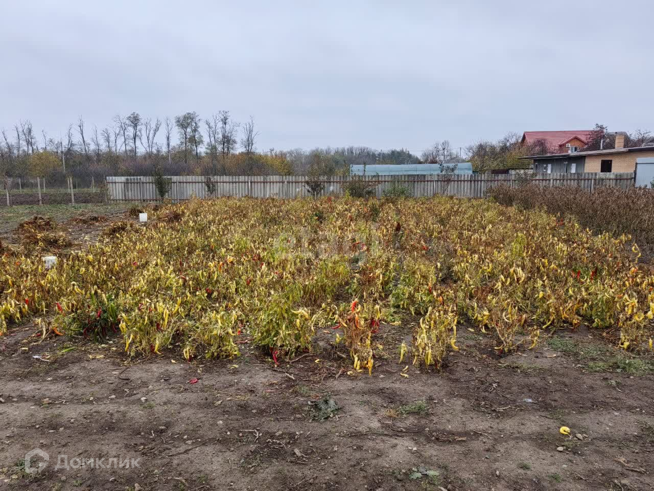 Домклик—cервисдляпоискаипокупкинедвижимостивипотеку