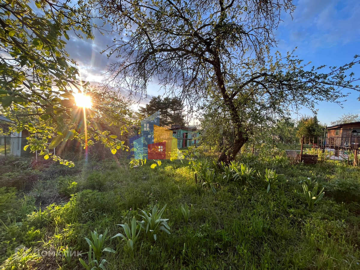 Купить Дачу В Заря 1 Омск