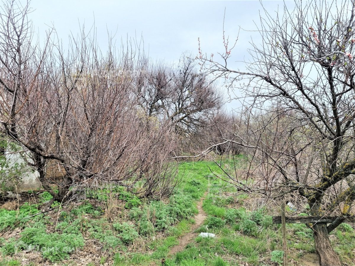 Купить участок, 5.5 сот. по адресу Волгоград, СНТ Металлург за 250 000 руб.  в Домклик — поиск, проверка, безопасная сделка с жильем в офисе Сбербанка.