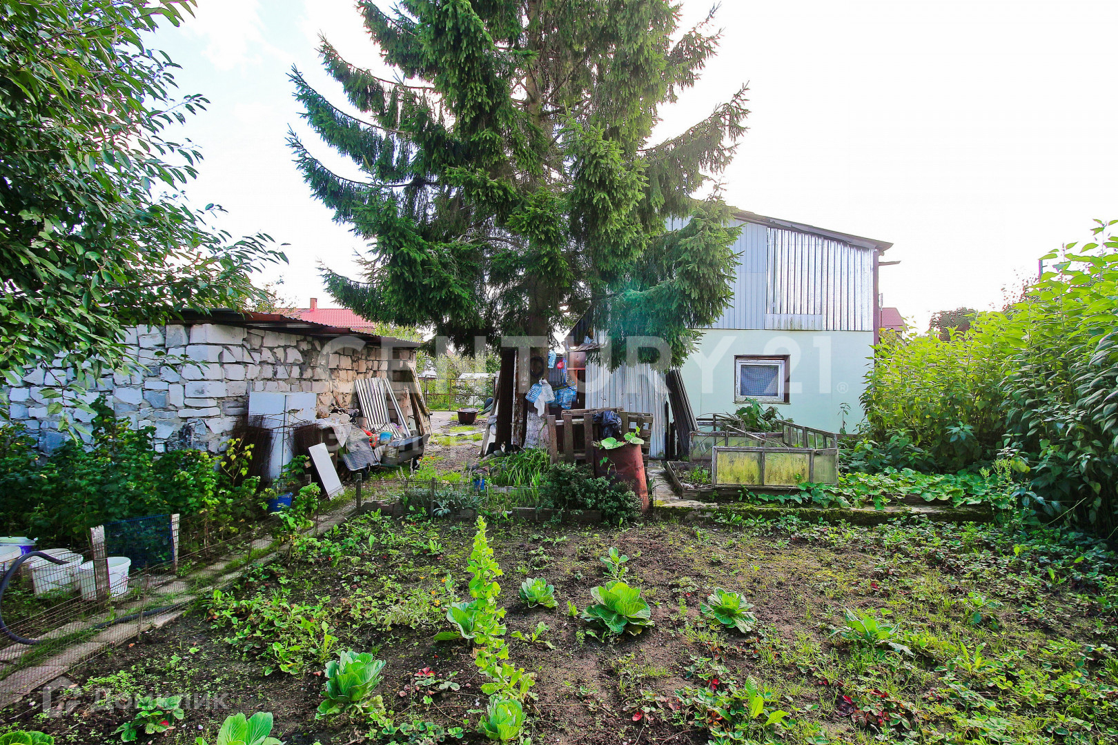 Купить Дачу В Калининградской В Снт