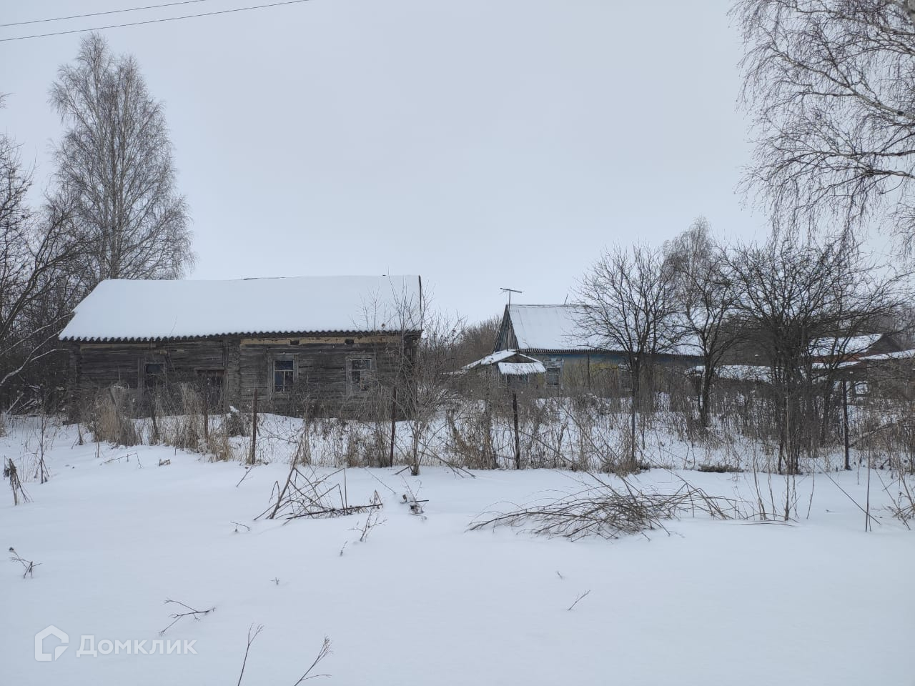 Купить Дачу В Новые Дарковичи Брянской Области