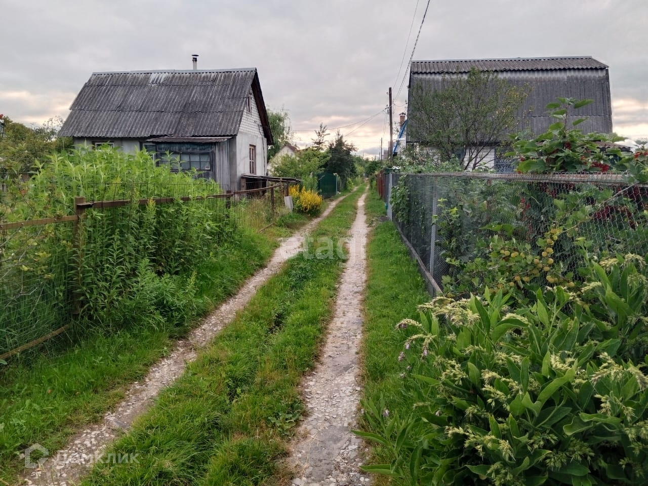 Купить Дачу В Новые Дарковичи Брянской Области