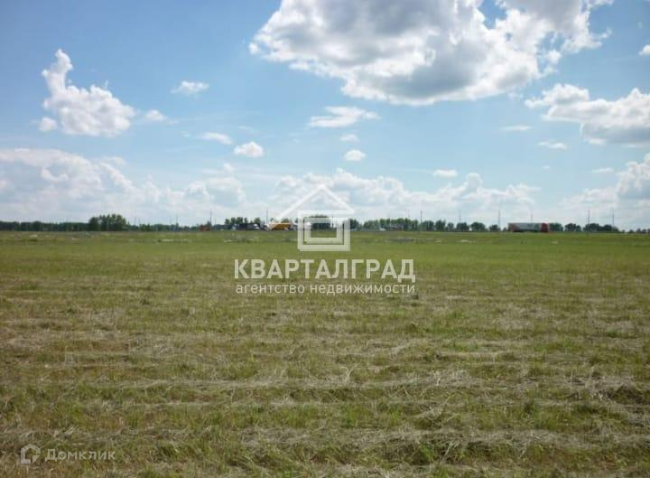 Земли сельхозназначения липецкая область. Земли сельхозназначения липецкая область. Село сенцово. Земельный пай. Фото поля сельхозназначения.