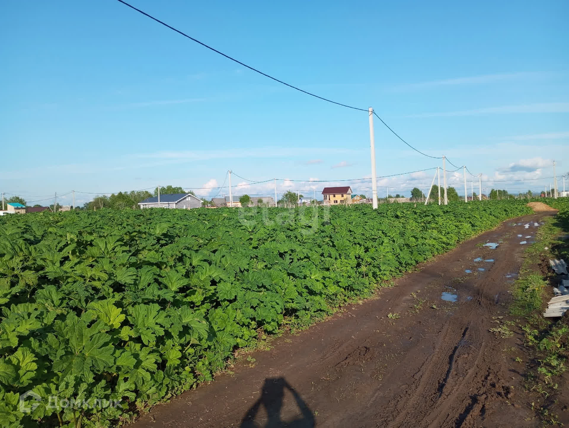 Купить участок, 8 сот., ИЖС по адресу Республика Коми, муниципальный район  Сыктывдинский, муниципальное образование Выльгорт, село Выльгорт, Грибная  улица за 999 000 руб. в Домклик — поиск, проверка, безопасная сделка с  жильем в офисе Сбербанка.