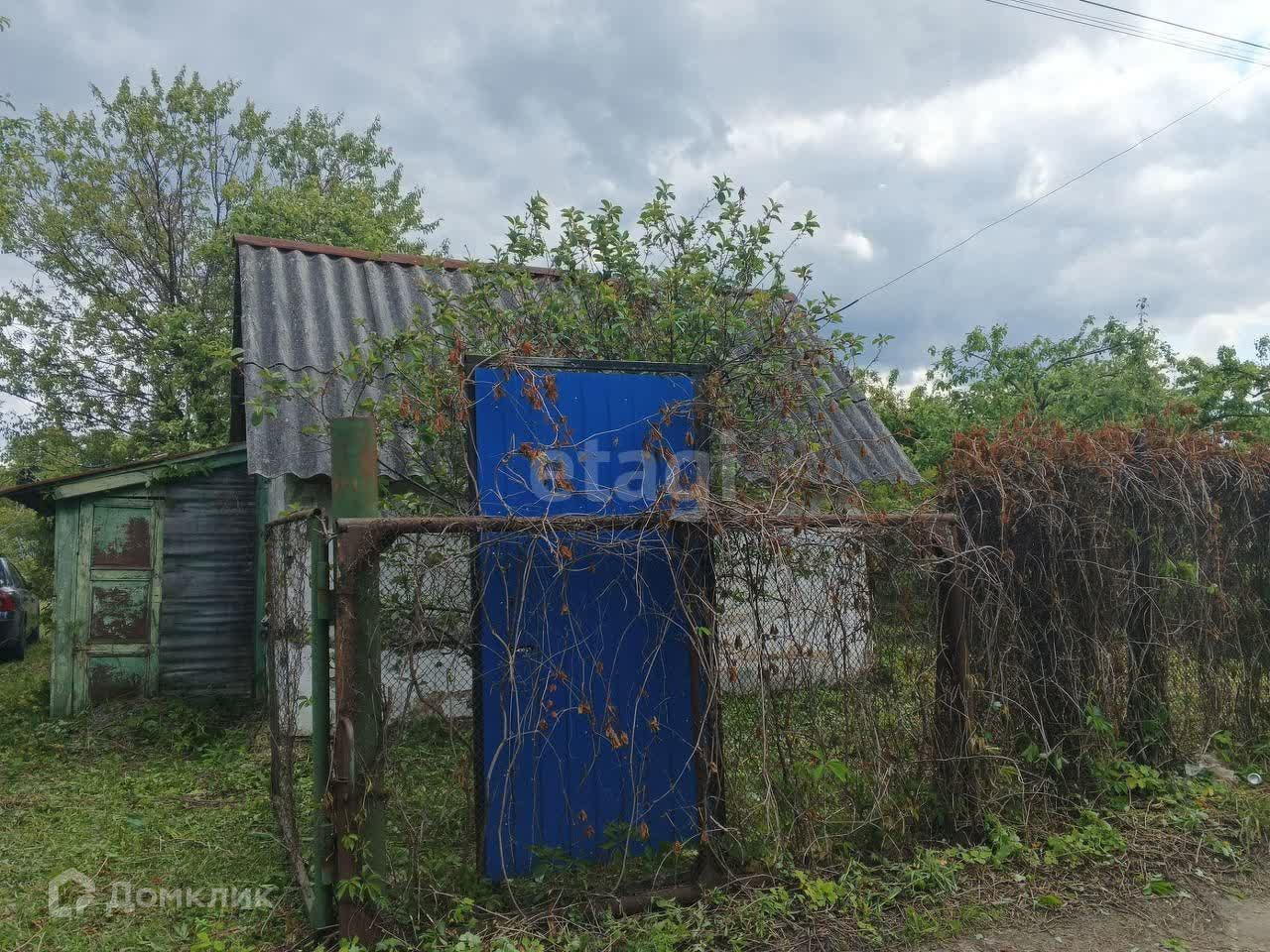 Тсн воронеж