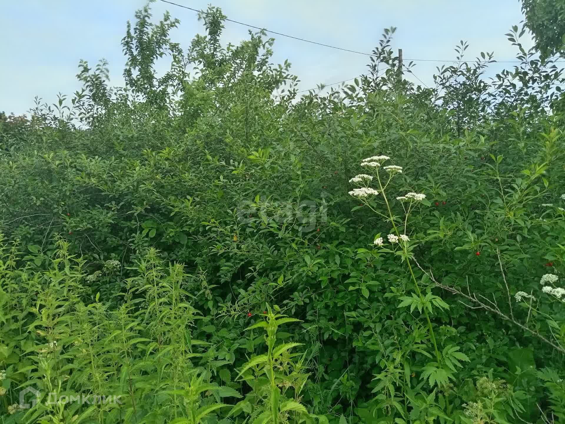 Купить Участок В Челябинской Области Недорого