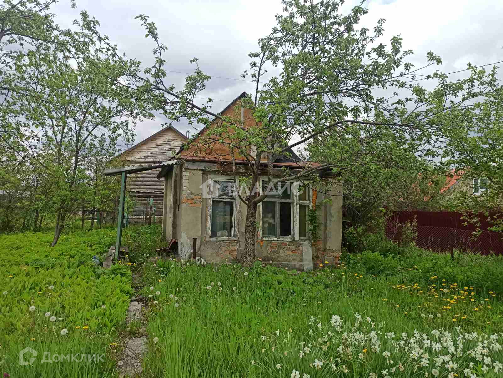 Фото пенза арбеково белые панельные дома белые ночи