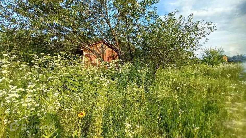 Купить Дачу В Фокино Брянской Области