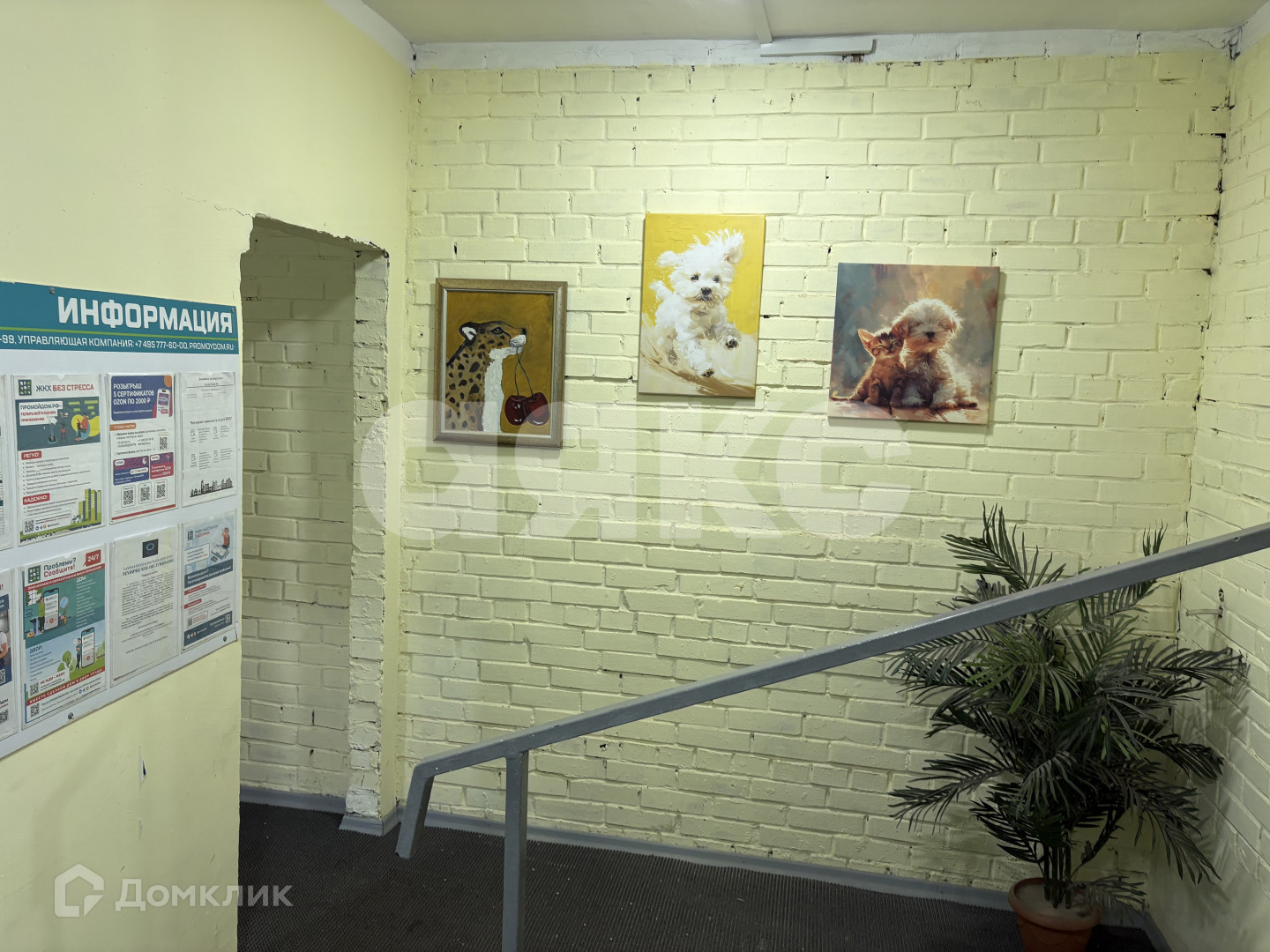 Реутов, 5-й микрорайон м-н, Ашхабадская улица, 25 - Widok 2