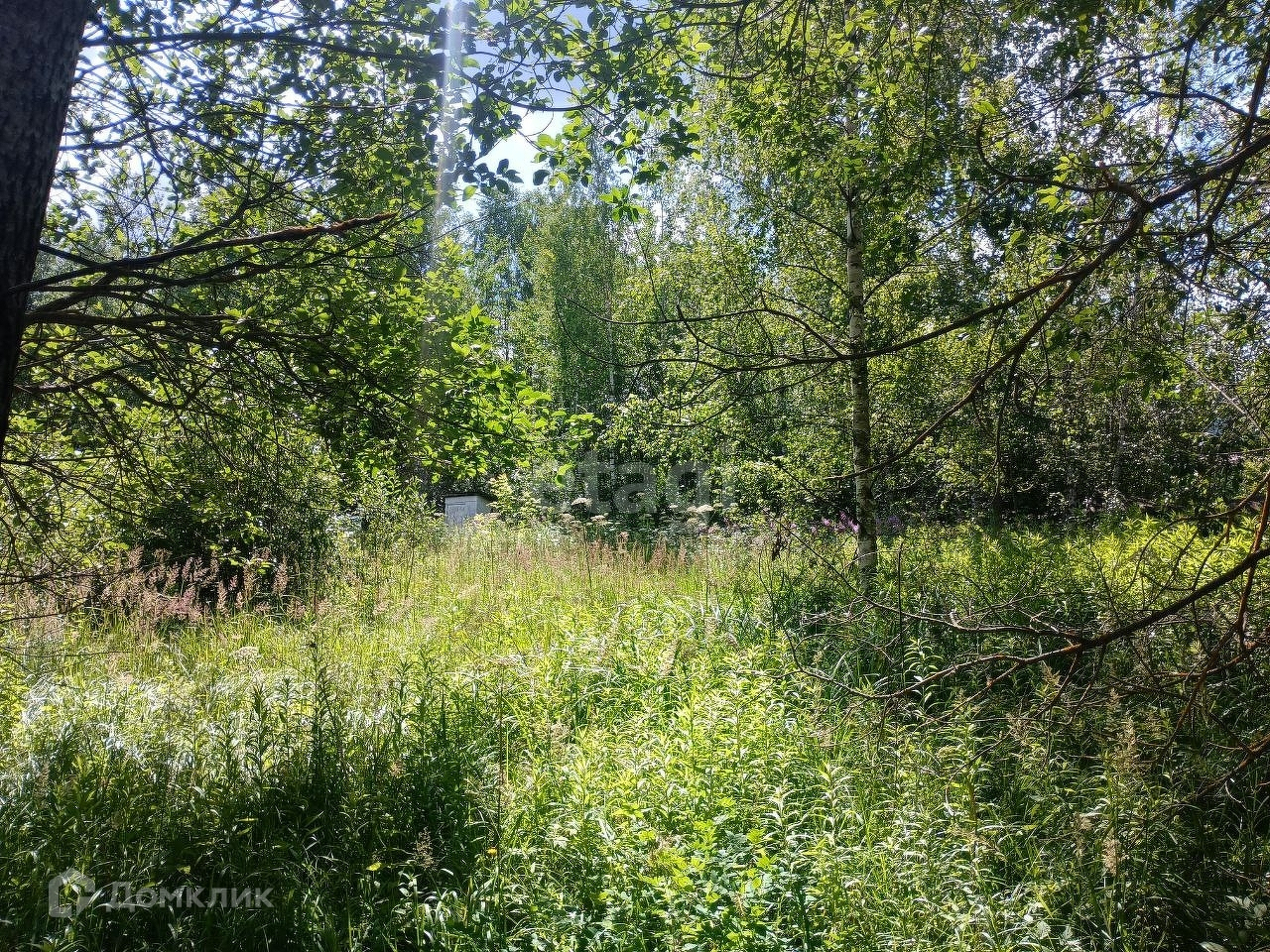 Садоводческое Товарищество Звезда Тамбов Купить Участок