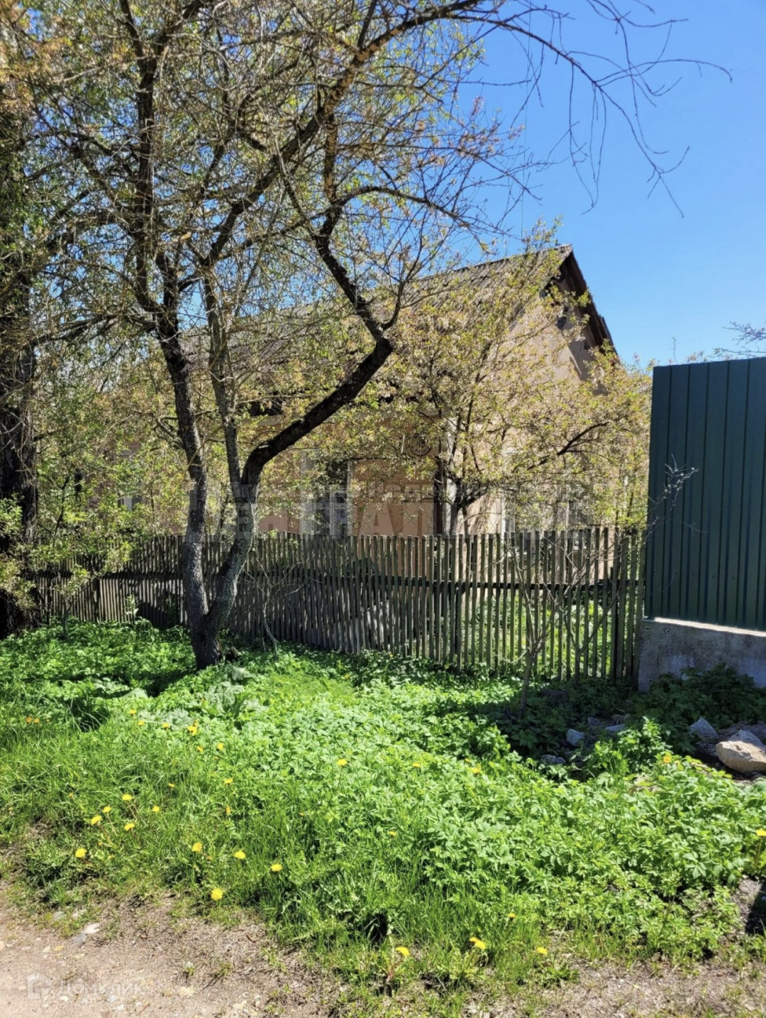 Луговой смоленск
