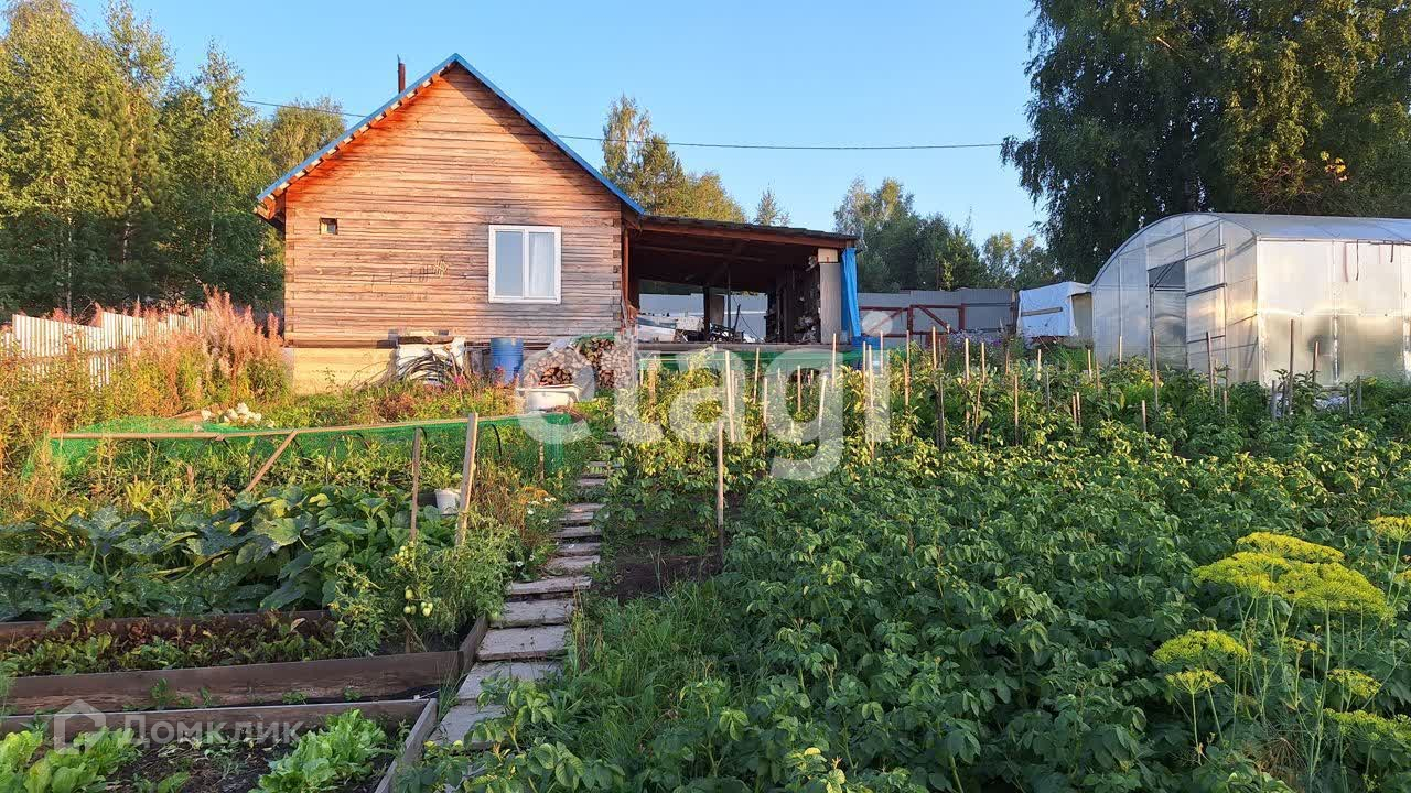 Красноярск Емельяновский Район Снт Луч Купить Дачу