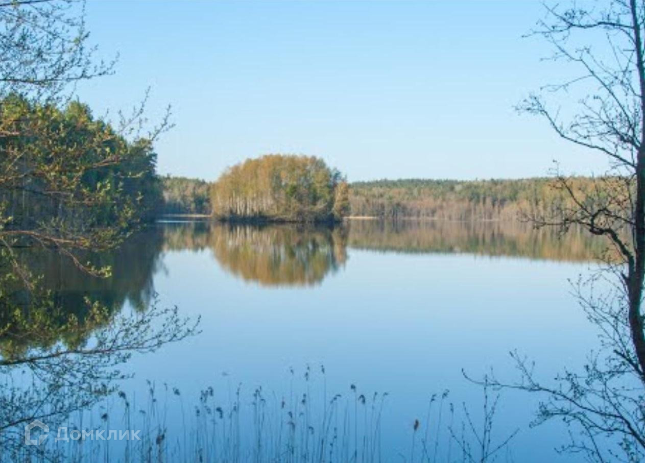 Купить участок, 45.3 сот., ИЖС по адресу Ленинградская область, Лужский  район, Волошовское сельское поселение, деревня Жилое Горнешно за 1 800 000  руб. в Домклик — поиск, проверка, безопасная сделка с жильем в офисе  Сбербанка.