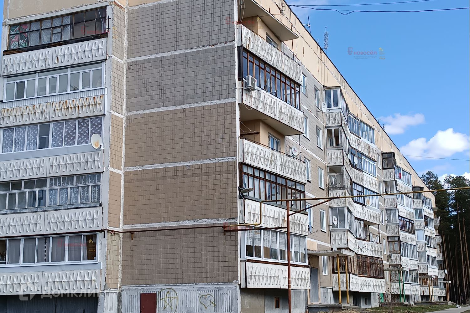 Найти калиновых. Найти калиновых