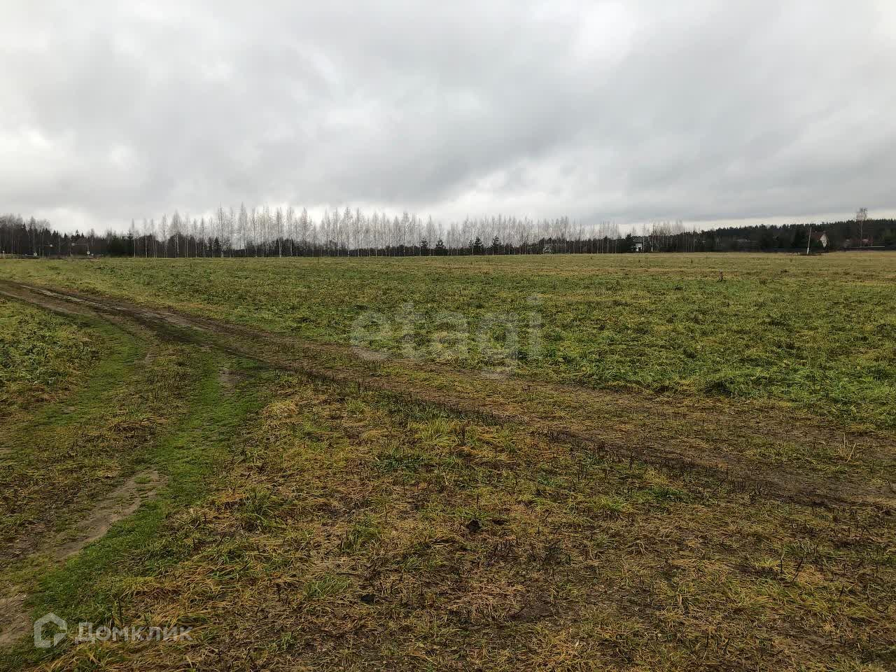 Купить Участок Костромская Область
