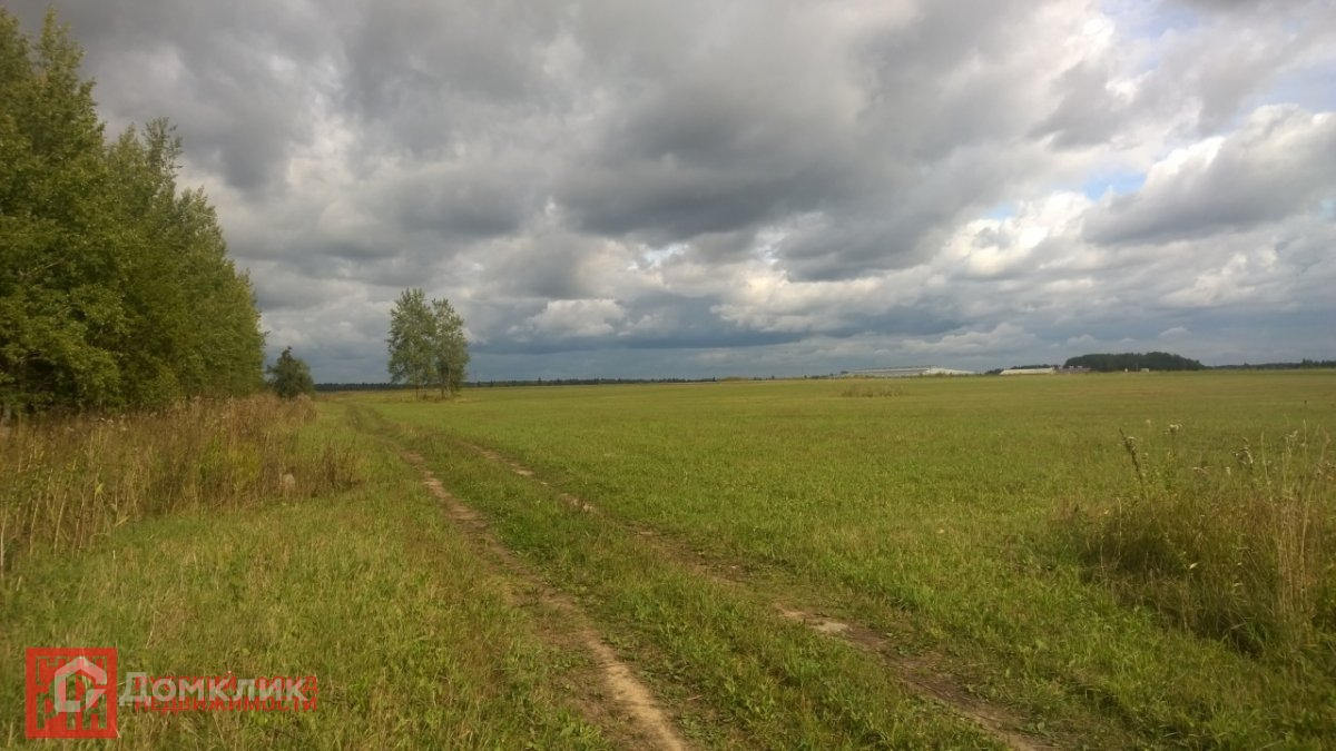 44 гектара. Лен обл Волосовский район деревня Курковицы. Трактор для распахивания земли в Курковицах в Волосовском районе. Какой Тип почвы и встречается в деревне Курковицы. Калитино Курковицы продажа домов участков.