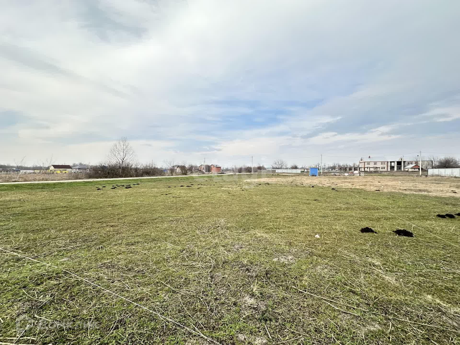 Краснодарский край кореновск каштановая улица 2 бездна