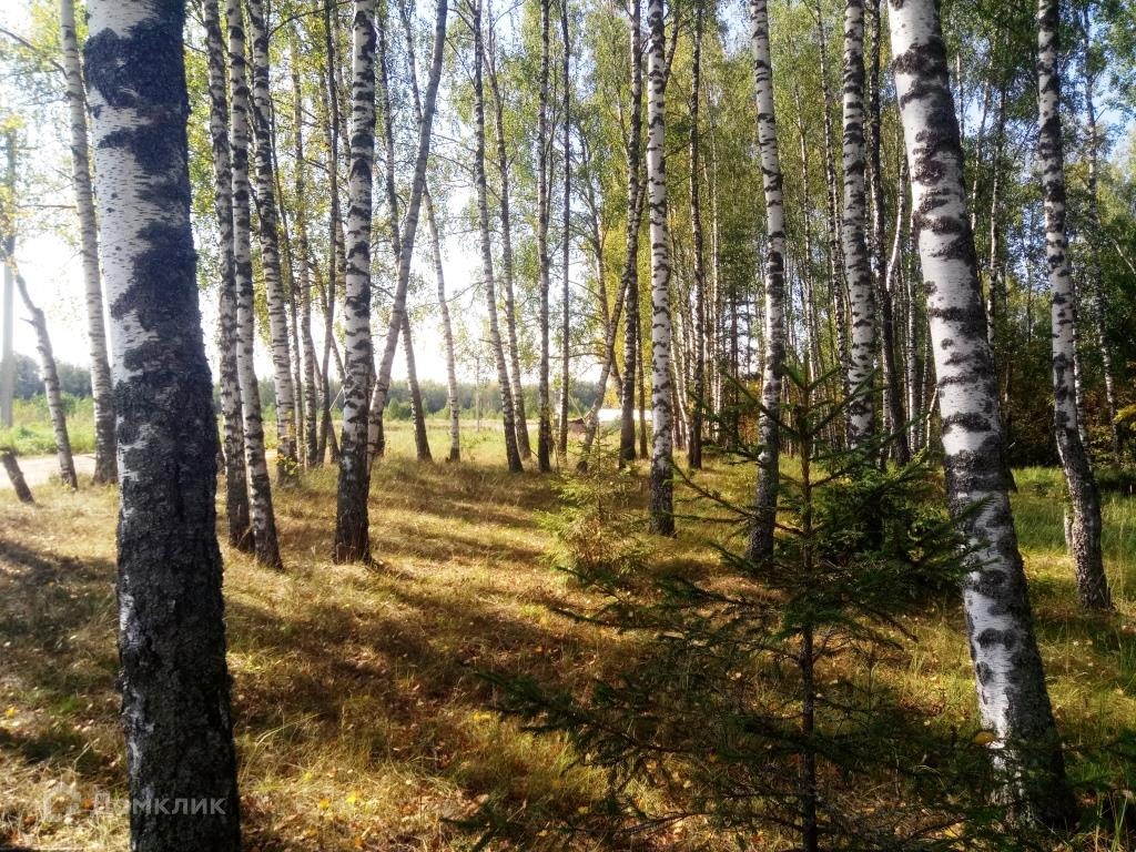 Киржачский Район Владимирская Область Купить