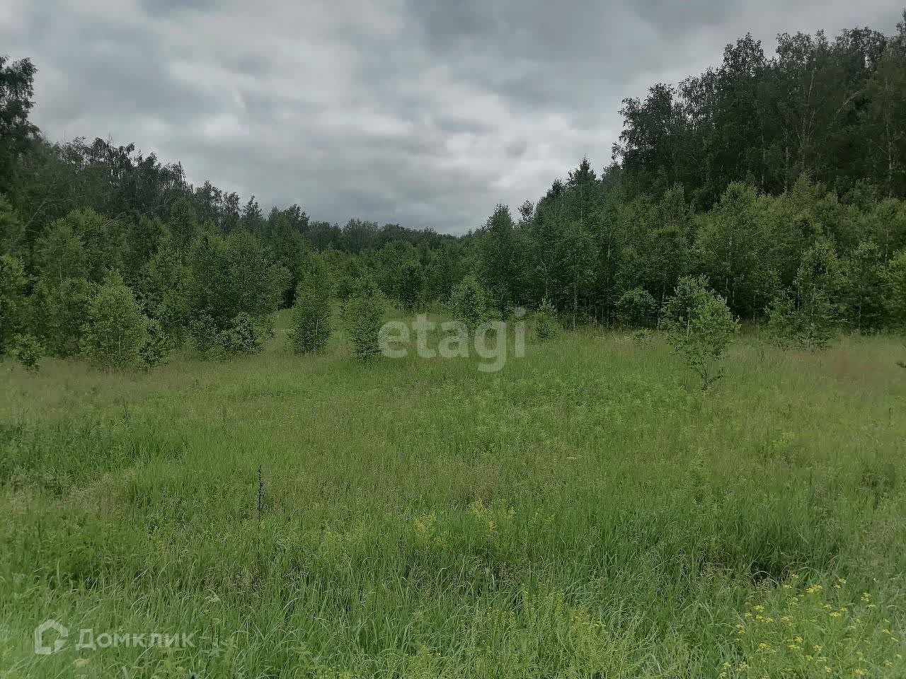 Купить Участок Земли Челябинская Область