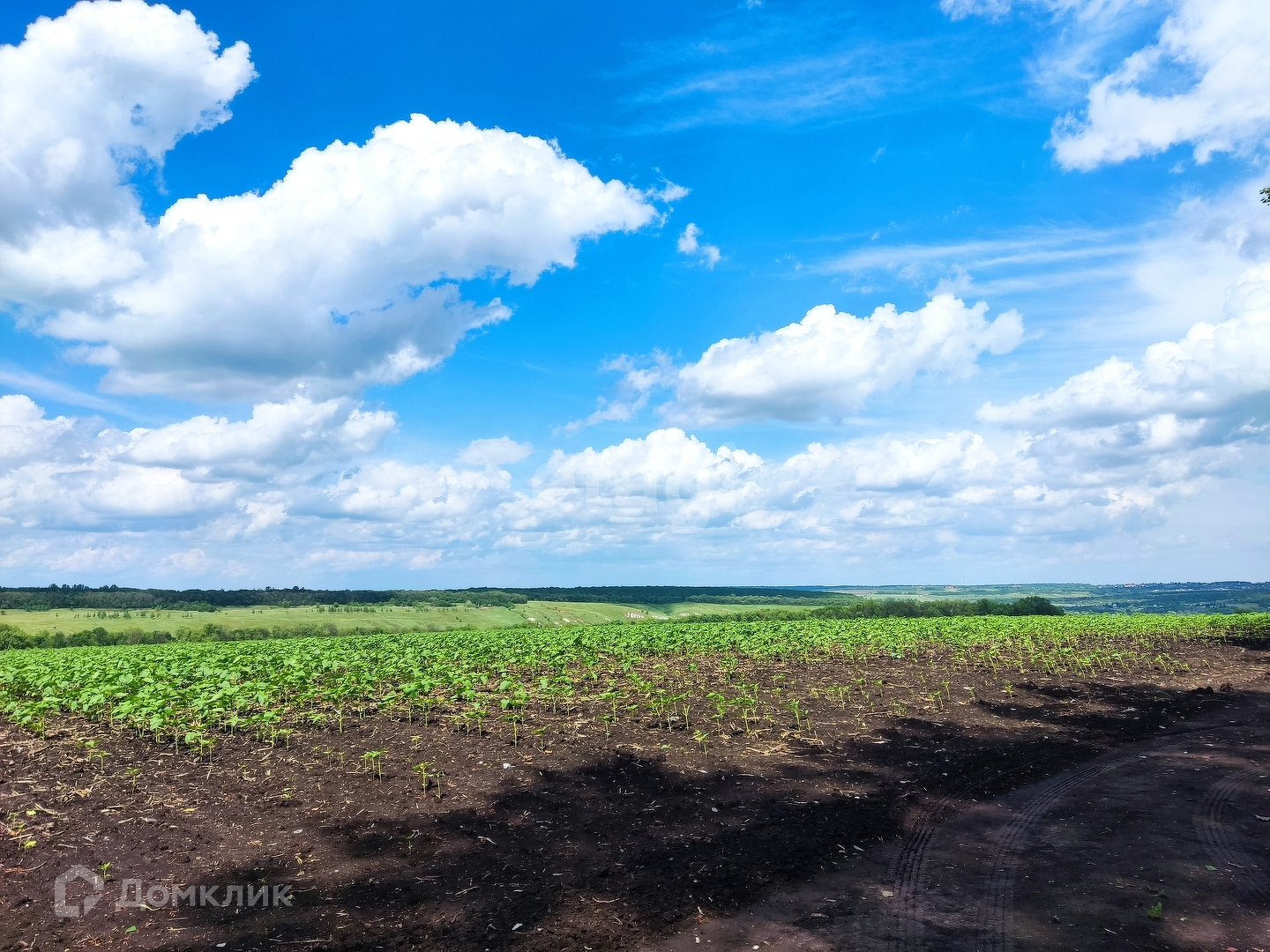 Купить Дом В Яковлевском Районе Село Дмитриевка