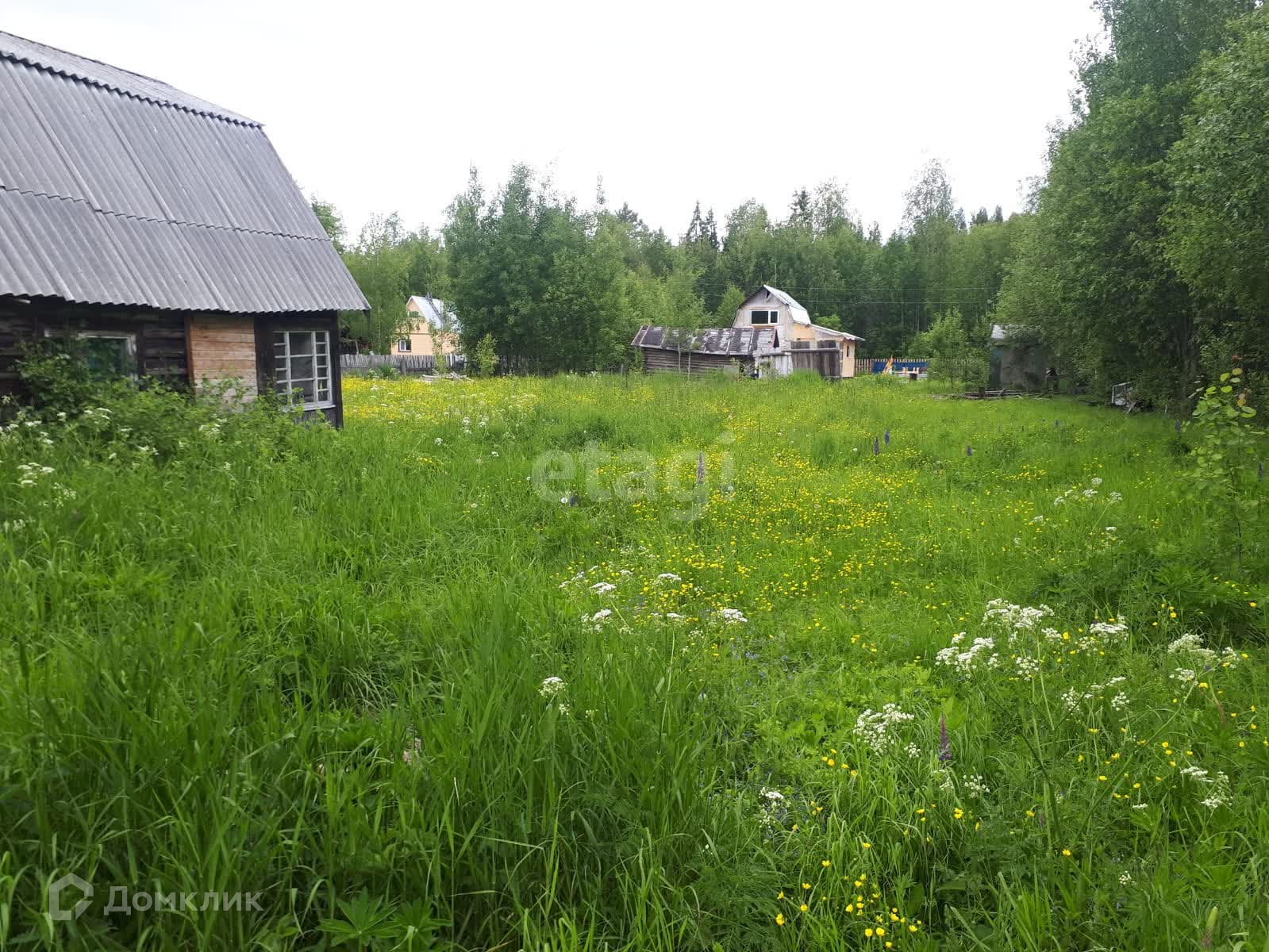 Купить Дачу Снт Кедр Екатеринбург