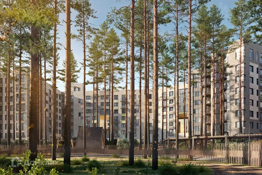 Maya studio микрорайон лесной 3 фото