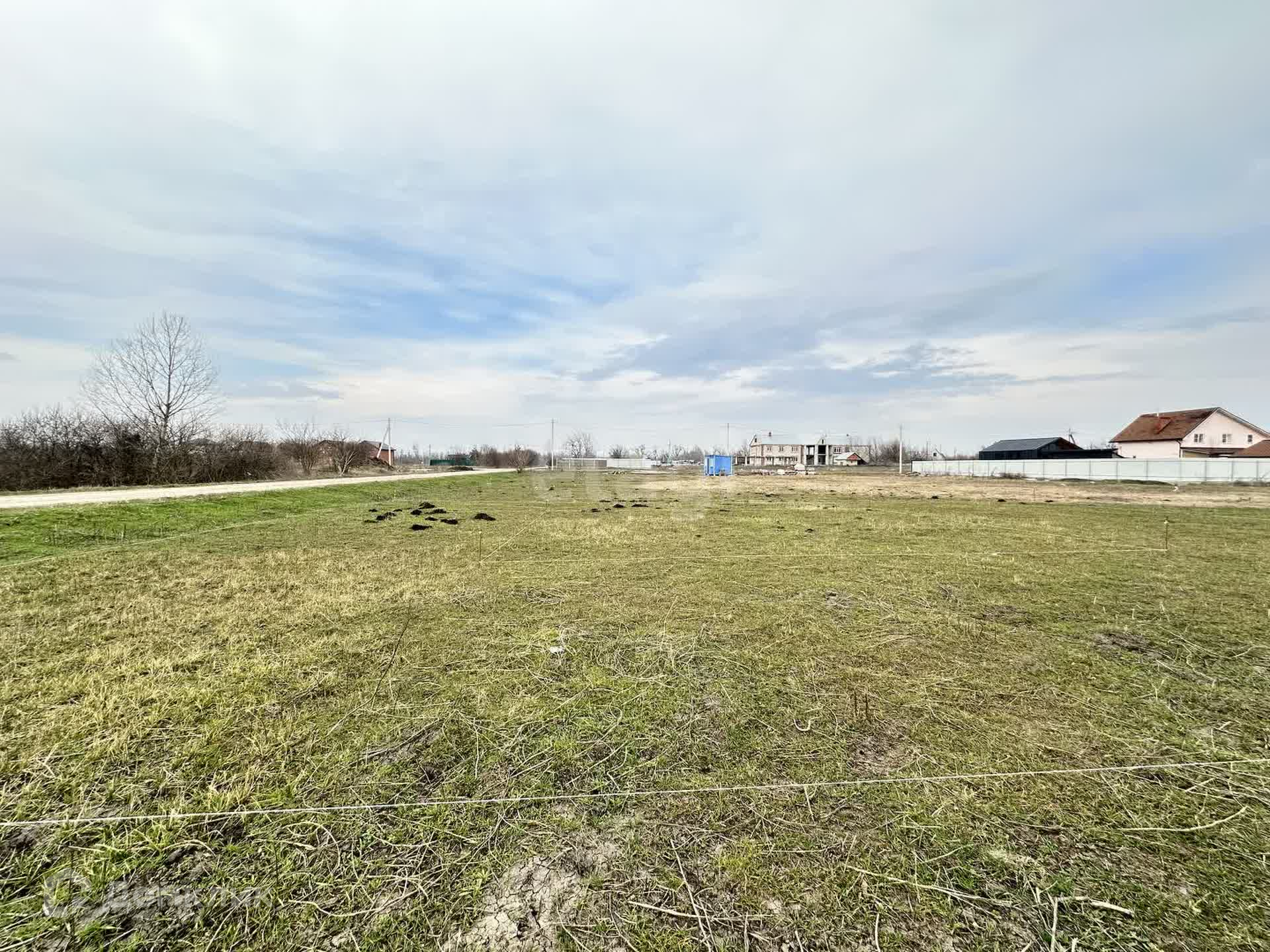 Краснодарский край кореновск каштановая улица 2 бездна