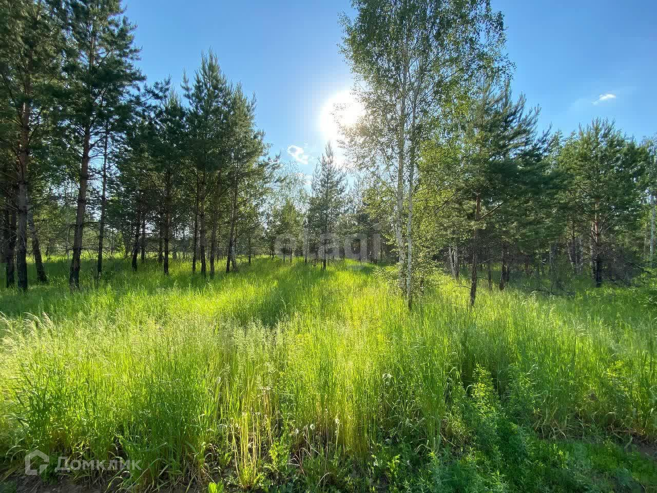 Купить участок, 13.3 сот., Садовый по адресу Курганская область, Кетовский  муниципальный округ, село Введенское за 200 000 руб. в Домклик — поиск,  проверка, безопасная сделка с жильем в офисе Сбербанка.