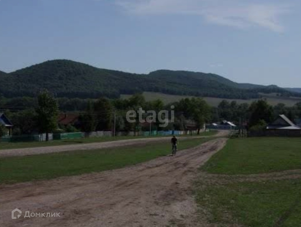 Охота Зайца Ишимбайский Район Фотографии