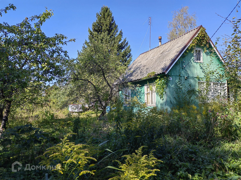 Погода в снт кировский