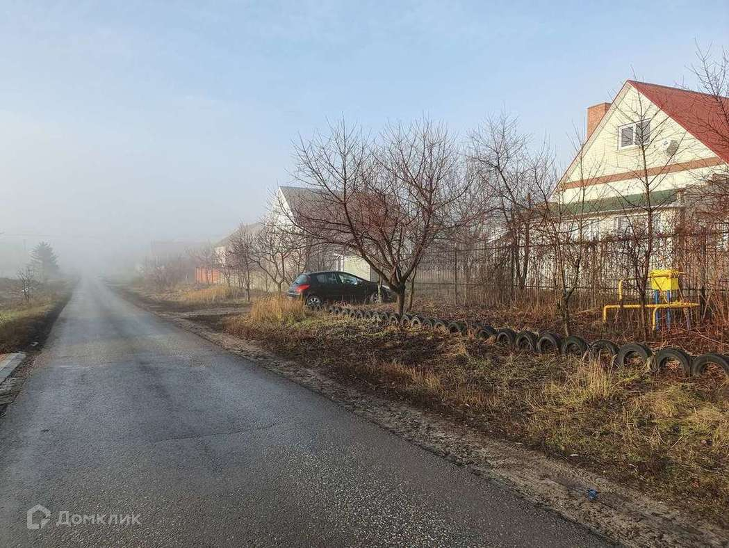 Дубовское сельское поселение дубовое