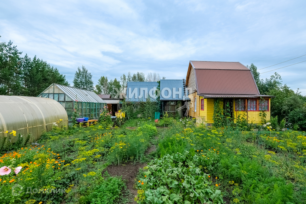 Купить Дачу В Сторону Тогучина