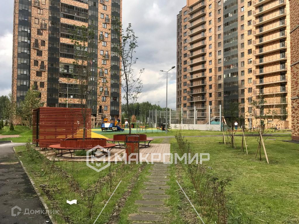 Толубеевский проезд. Парнас Толубеевский проезд. Парголово Толубеевский. Толубеевский проезд 38к1. Парнас Толубеевский проезд 14.