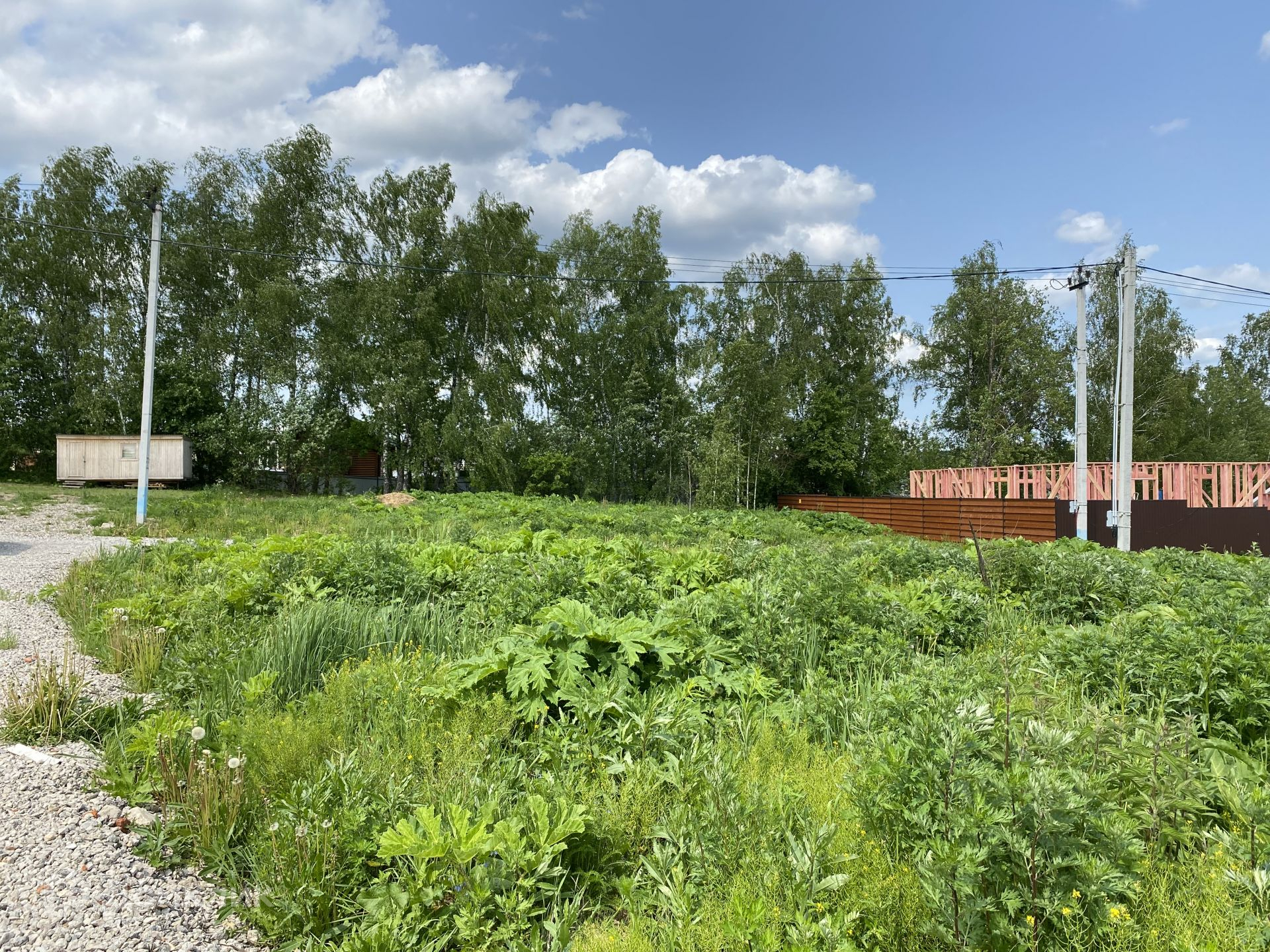 Земля софрино. Московская область, городской округ Пушкинский, КП. Новое Бортнево.. Бортнево. Новое Бортнево. План Бортнево 1.