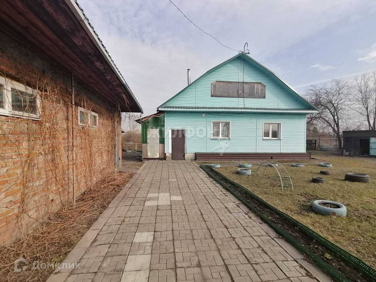 Подобас мыски. Подобас мыски
