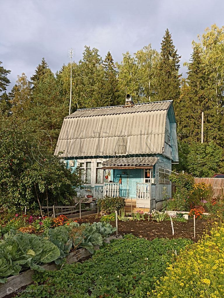 Купить Участок С Домом В Приозерске