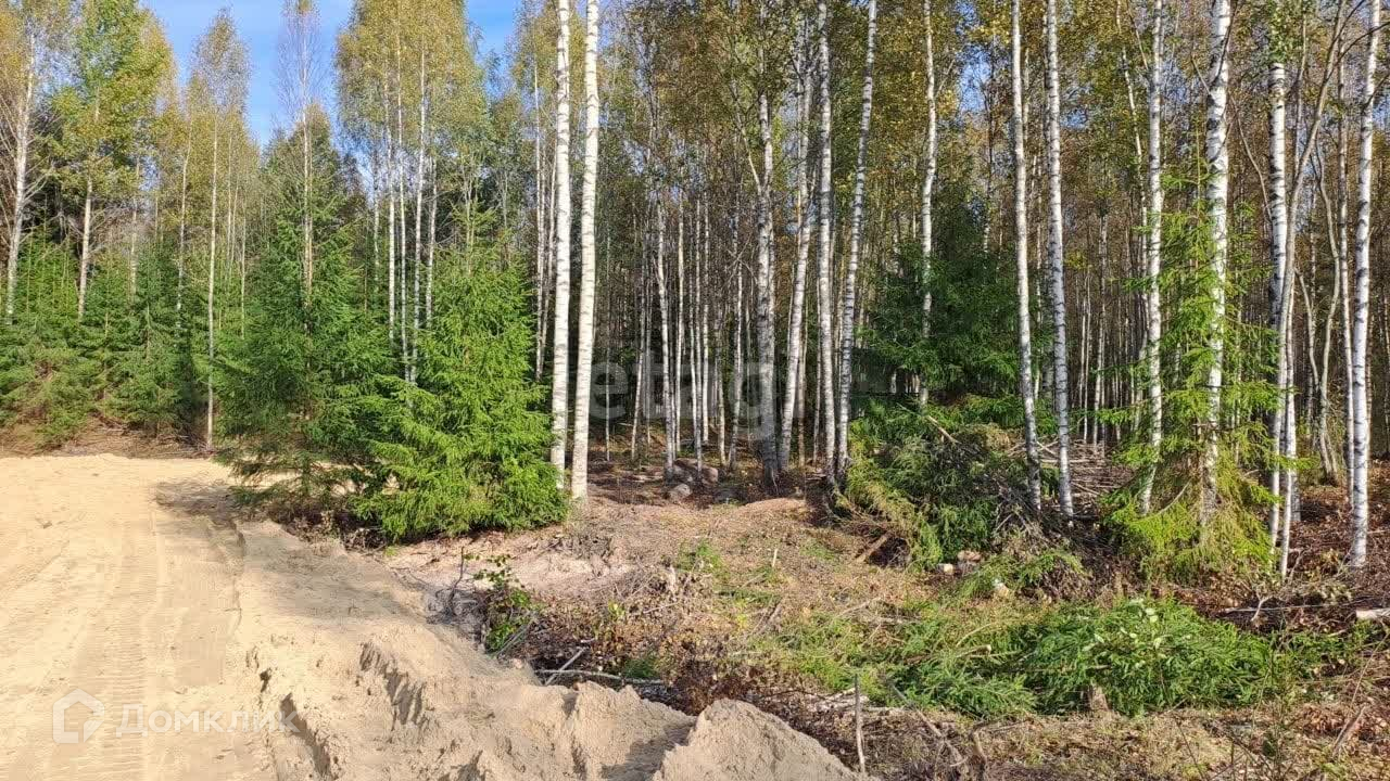 Купить Участок В Белоострове Недорого