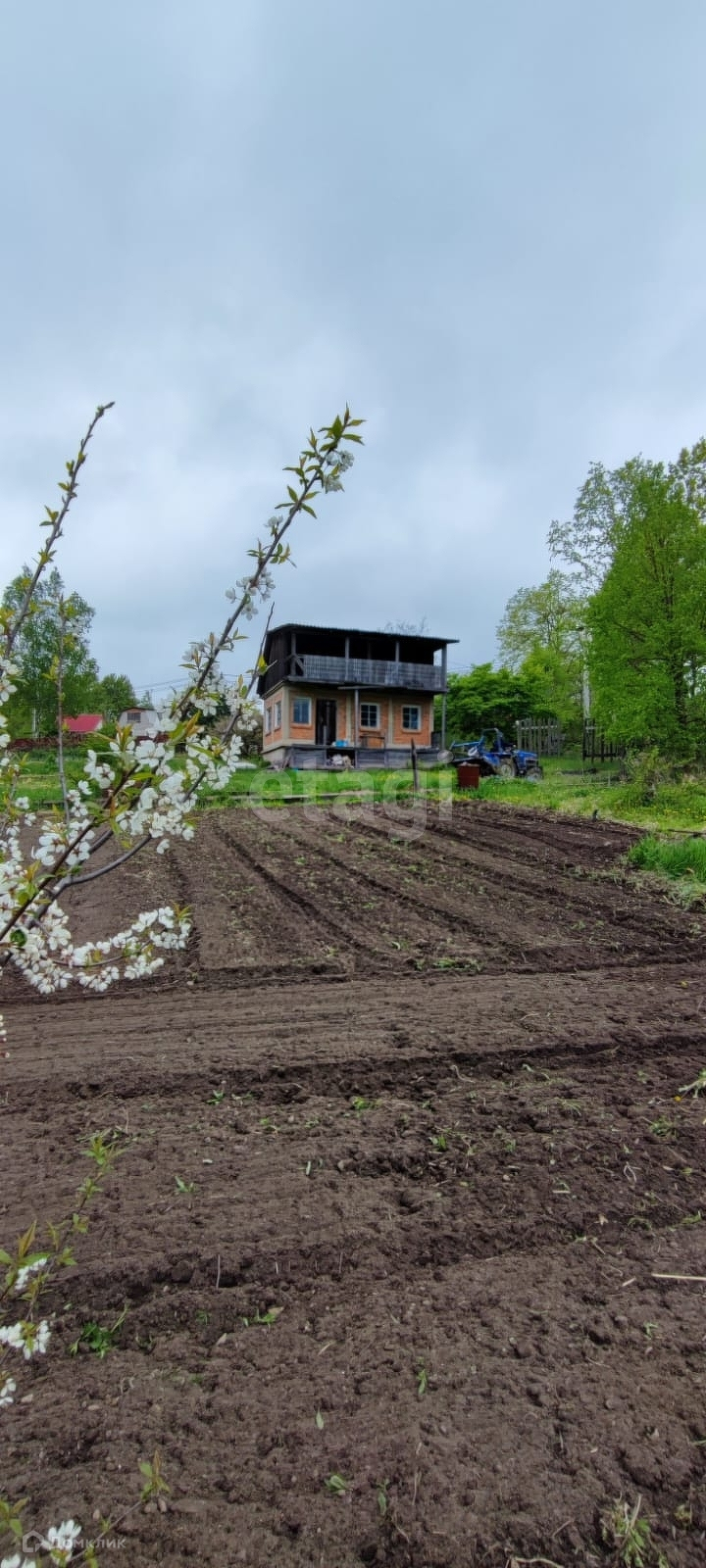 На плане изображен дачный участок по адресу снт рассвет ул