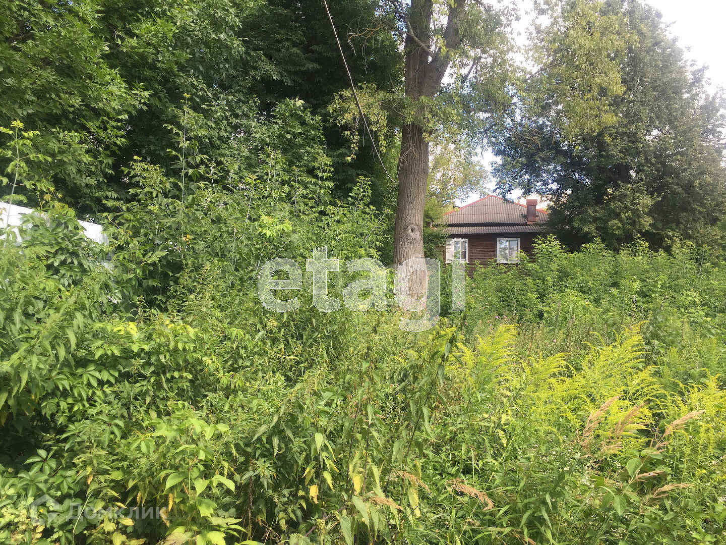 8 участок калуга. 8 соток калуга. 8 участок калуга. Тарутинская 8 калуга. 8 участок калуга.