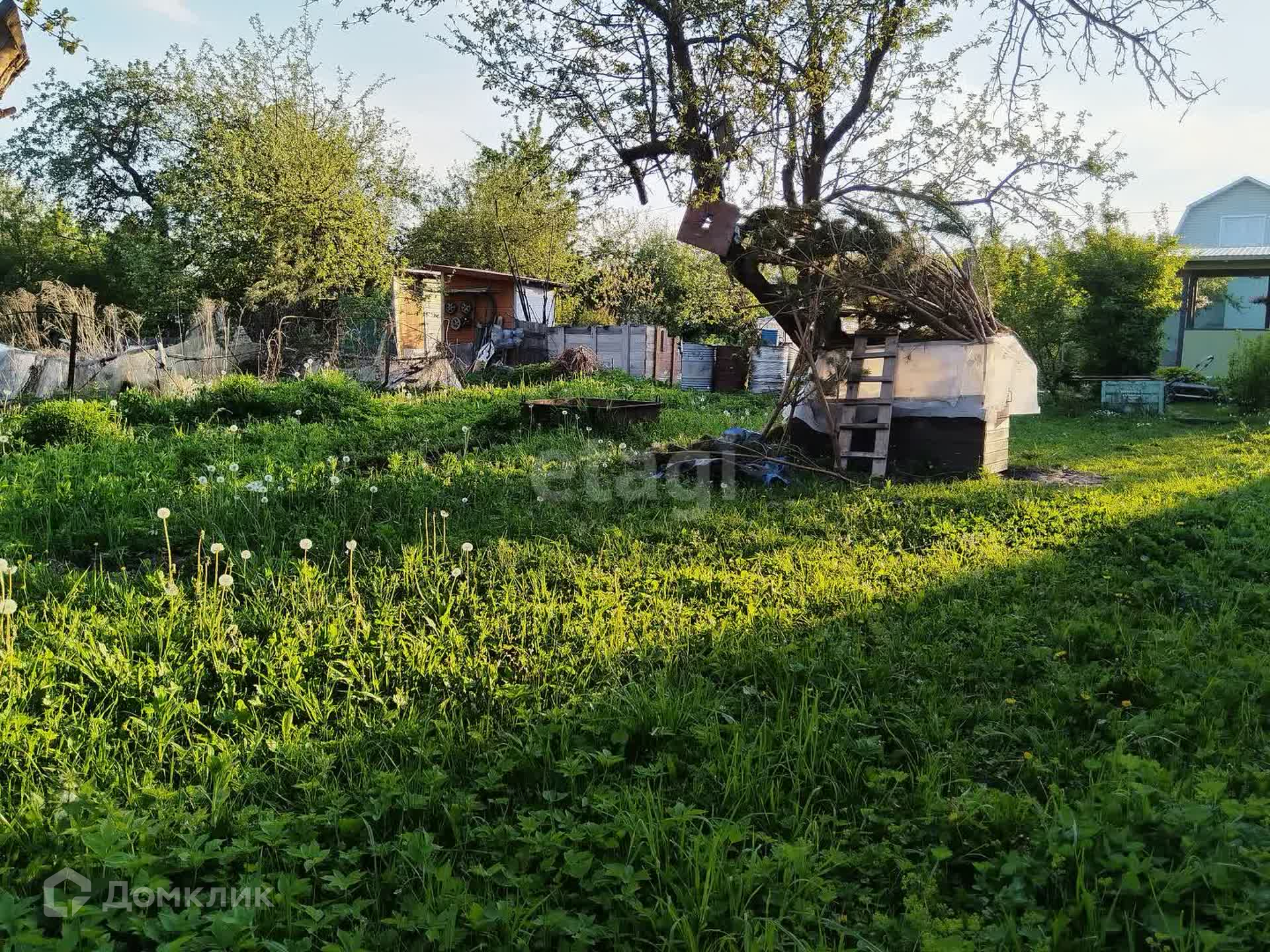 48 снт