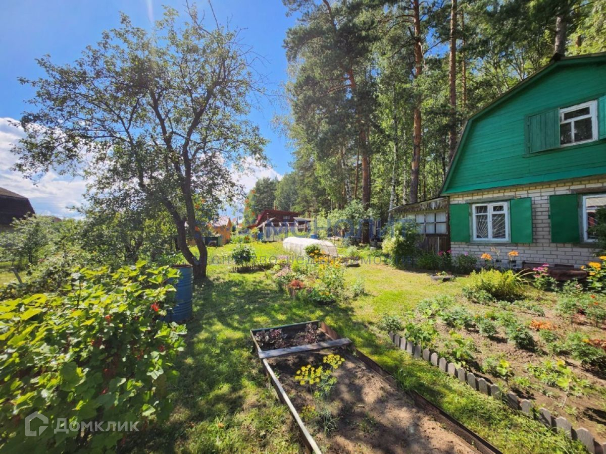 Купить Дачу В Городе Бор