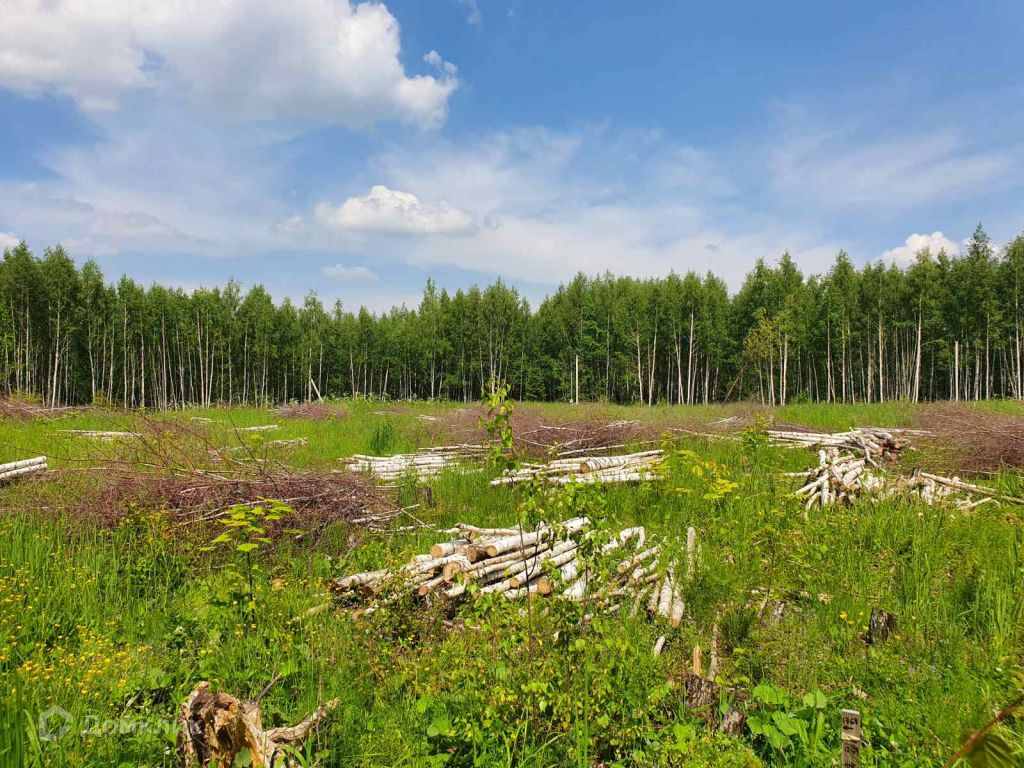 Участок земли в кстово. 1 участок кстово. Карабатово нижегородская область. 1 участок кстово. 1 участок кстово.