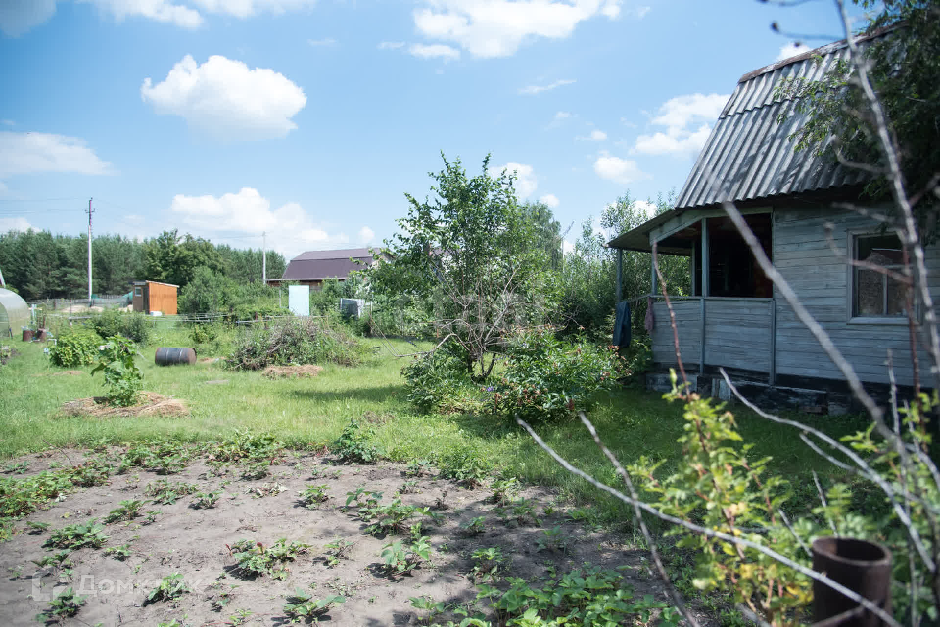 Снт Волна Бердск Купить Дачу