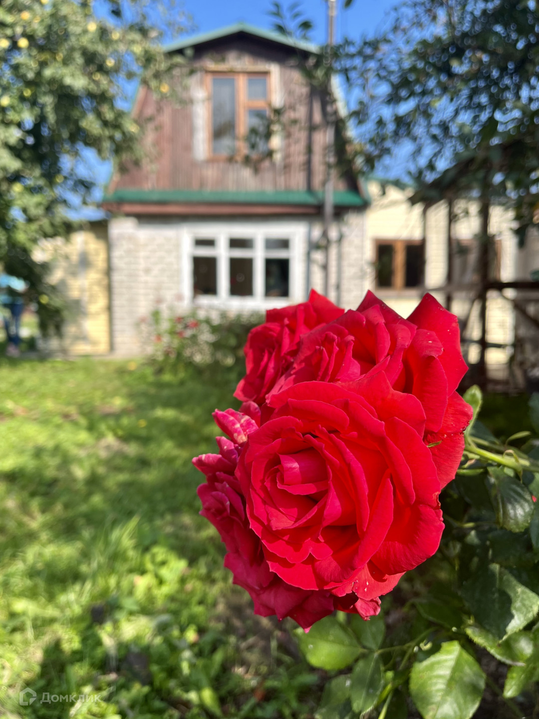 Купить Сад В Кстовском Районе Нижегородской Области