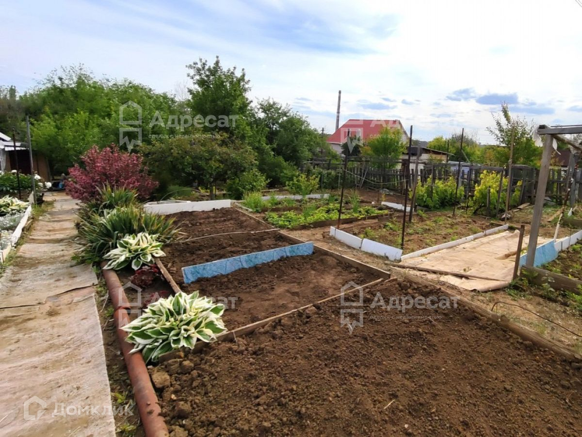 Купить Дачу Снт Мичуринец Пенза