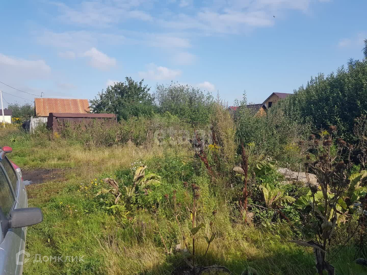 Снт Калинка Новосибирск Купить Дачу