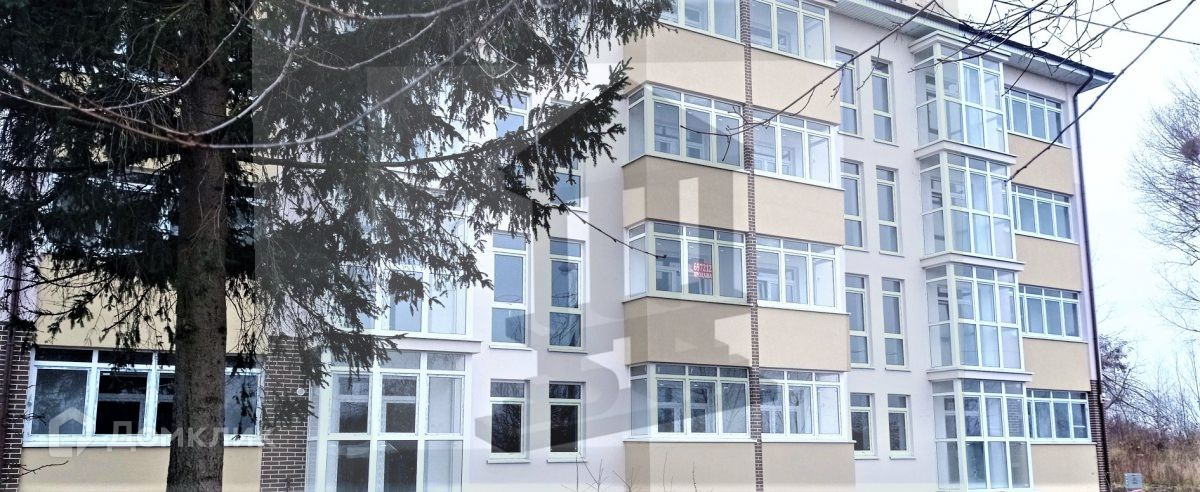 Купить 2 Комнатную Калининград