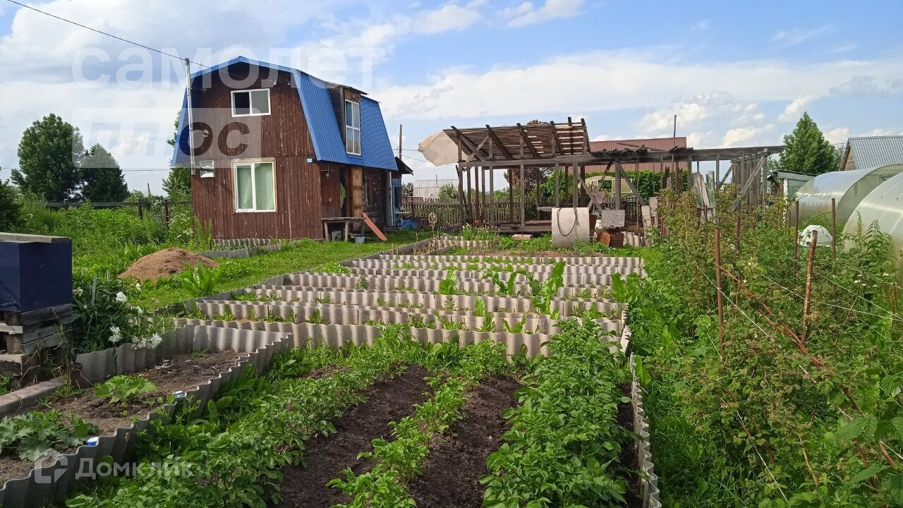 Купить Дачу В Орловке Томская Область