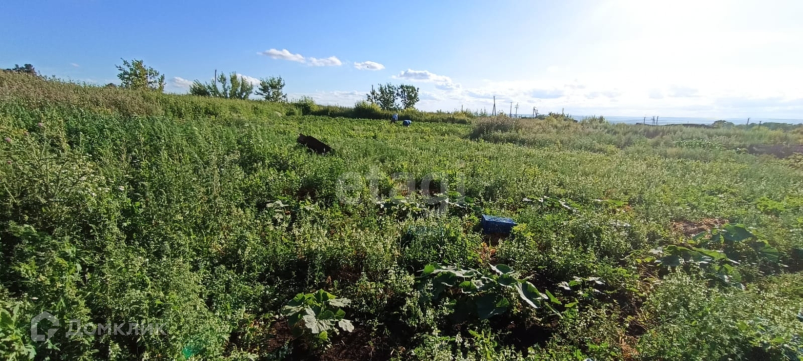 Купить Участок Снт Мир Родниковая Улица